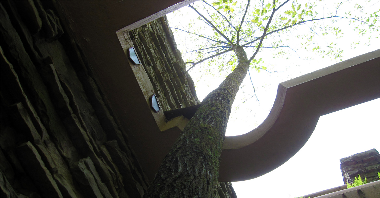 Frank Lloyd Wright’s Fallingwater Kaufmann Residence Architecture